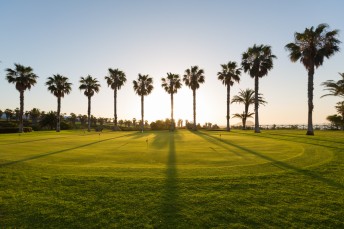 PUTTING PALMERAS