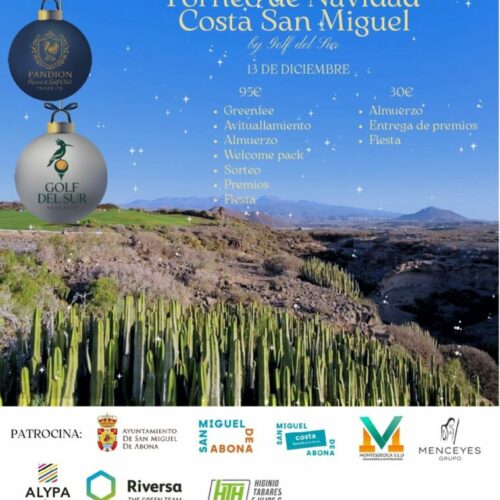 Отпразднуйте Рождество, приняв участие в нашем рождественском турнире!