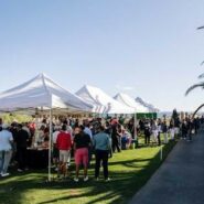 Torneo de Navidad Costa San Miguel