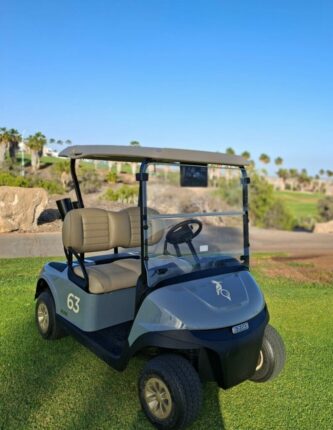 Nuevos buggies EZ-GO